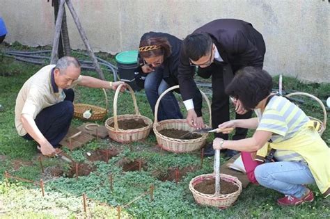 適合樹葬的植物|樹葬是甚麼？費用、流程、申請方式，一篇搞懂「樹葬。